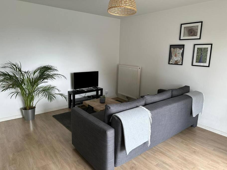 Appartement Proche Chu Avec Balcon Et Parking 릴 외부 사진